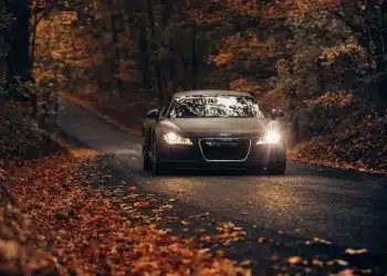 black vehicle on road between trees during daytime